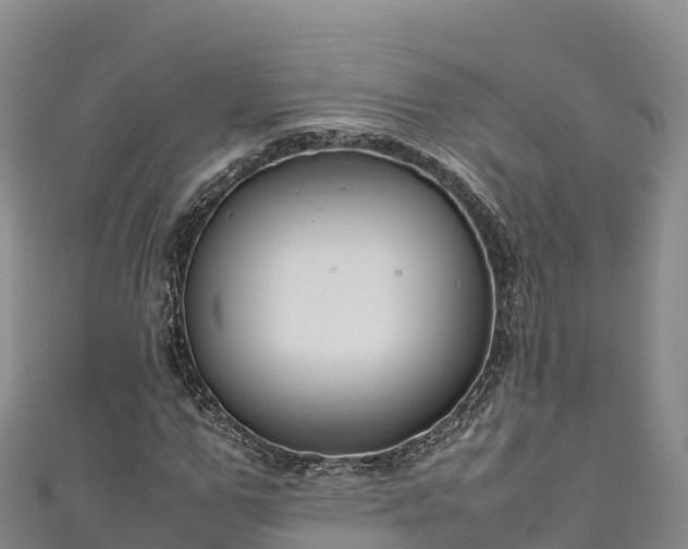 X0000111190967200907081253