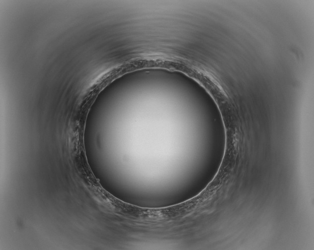 X0000111190968200907081253