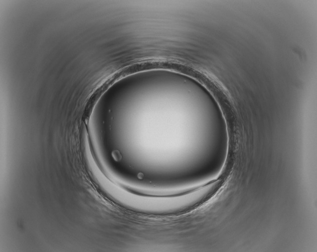 X0000111190969200907081253