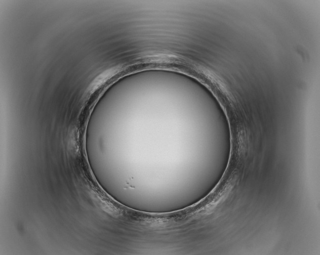 X0000111190970200907081253