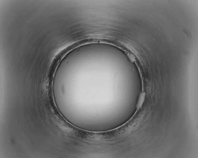 X0000111190971200907081253