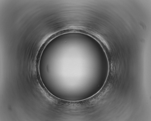 X0000111190972200907081253