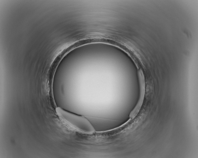 X0000111190973200907081253