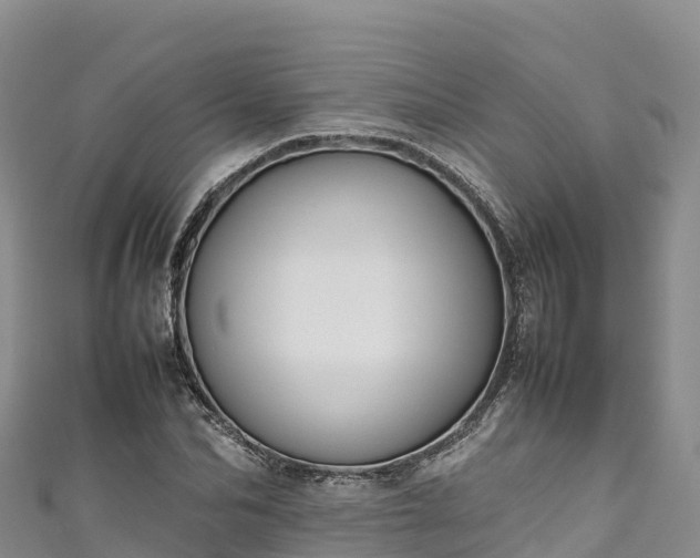 X0000111190974200907081253