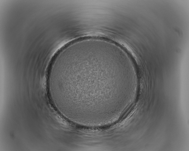 X0000111190975200907081253