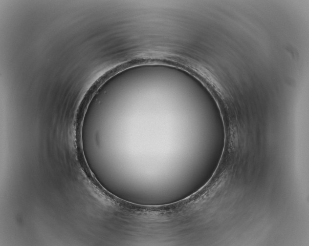 X0000111190976200907081253