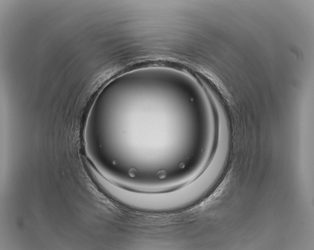 X0000111190977200907081253