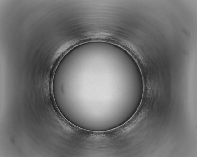 X0000111190978200907081253