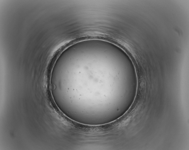 X0000111190979200907081253