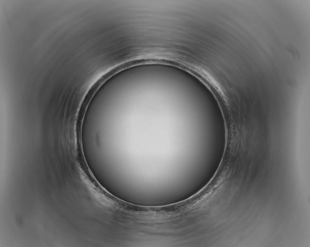 X0000111190980200907081253