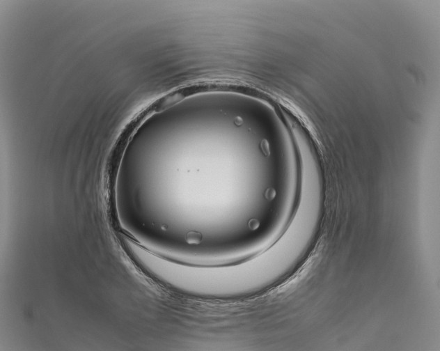 X0000111190981200907081253