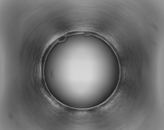 X0000111190982200907081253