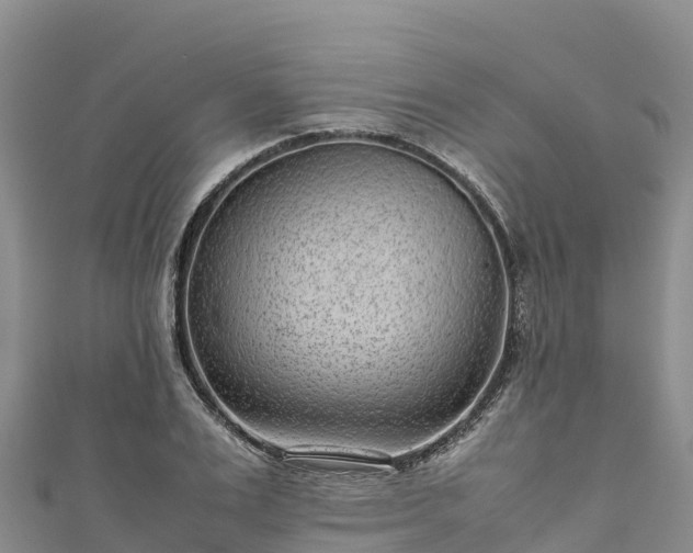 X0000111190983200907081253