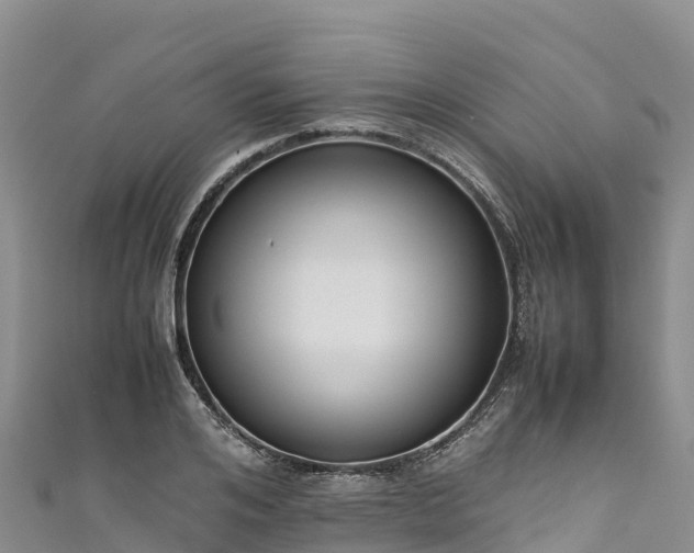 X0000111190984200907081253