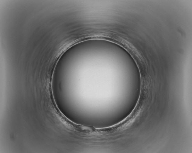 X0000111190985200907081253