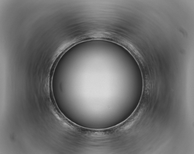 X0000111190986200907081252