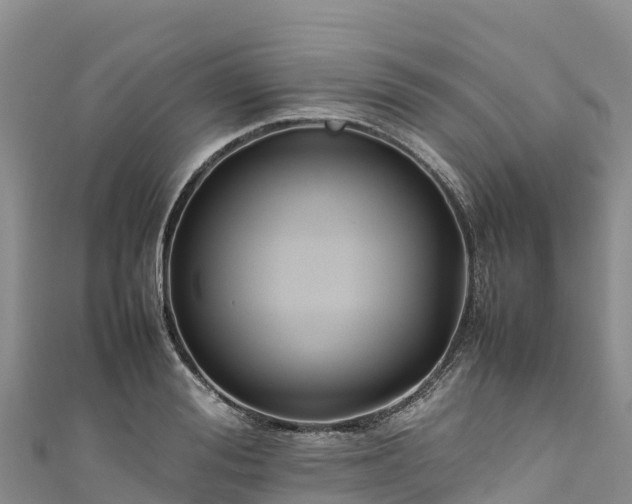 X0000111190988200907081252