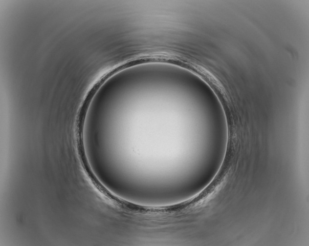 X0000111190989200907081252