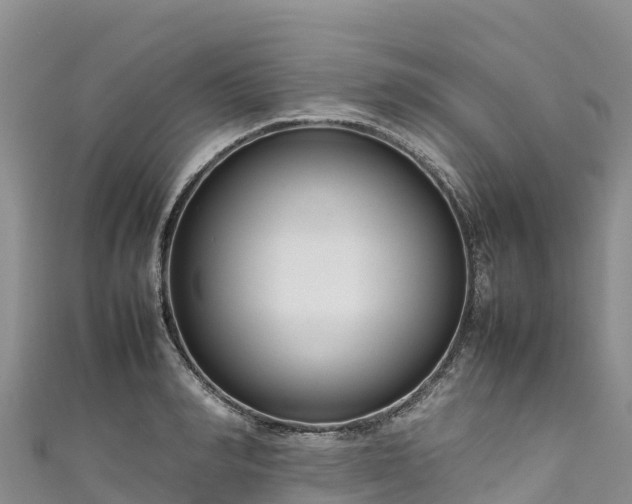 X0000111190990200907081252