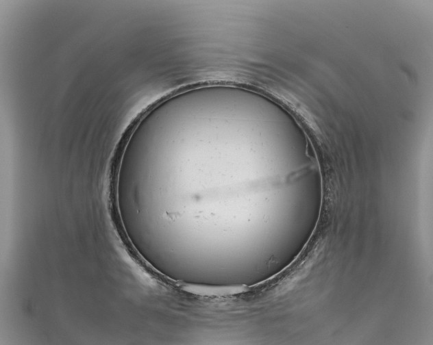 X0000111190991200907081252