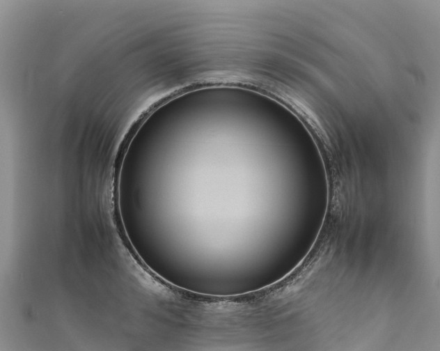 X0000111190992200907081252