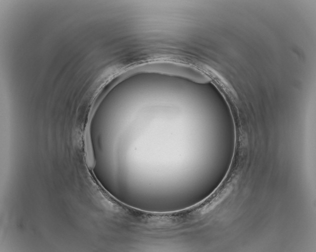 X0000111190993200907081252