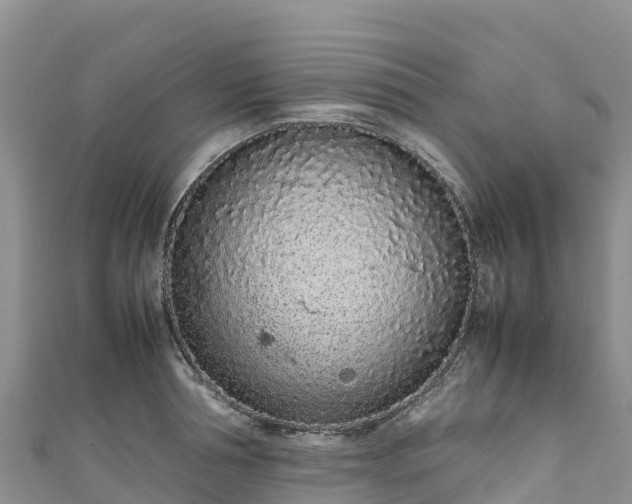 X0000111190994200907081252