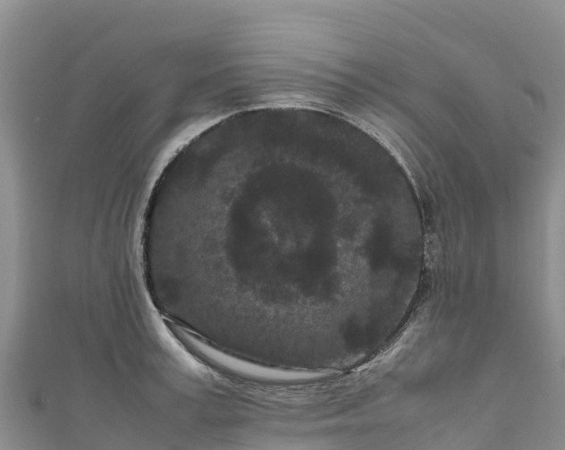 X0000111190995200907081252