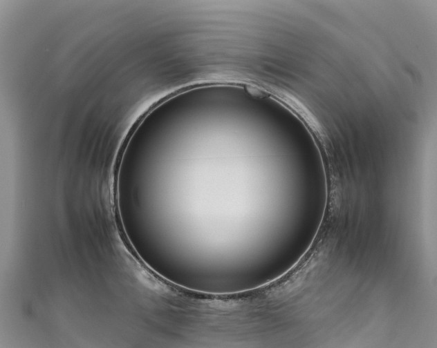 X0000111190996200907081252