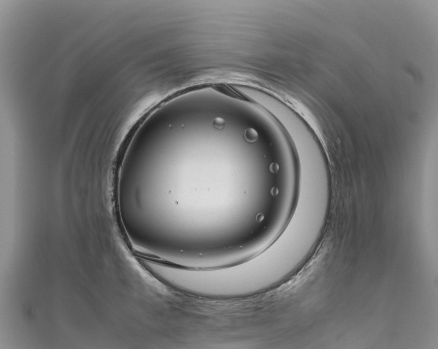 X0000111190997200907081252