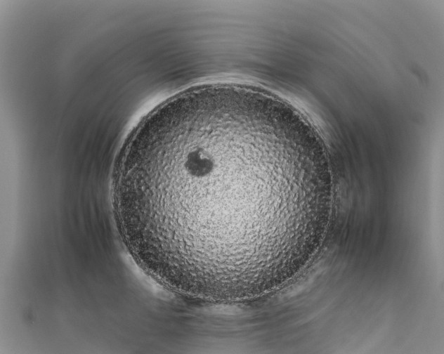 X0000111190998200907081252