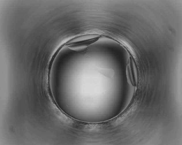 X0000111191000200907081252