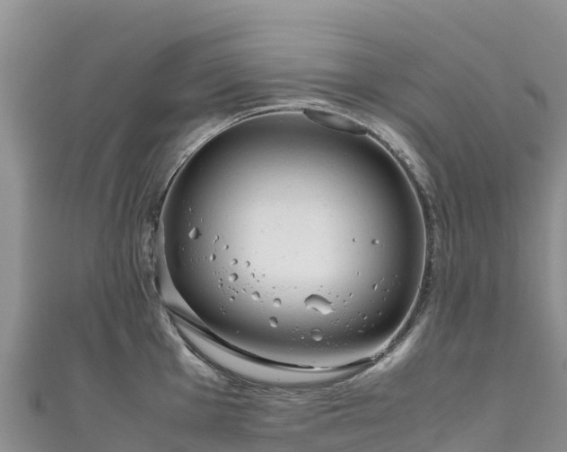 X0000111191001200907081252