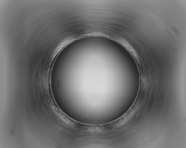 X0000111191002200907081252