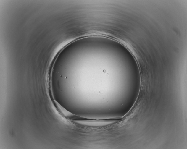 X0000111191003200907081252