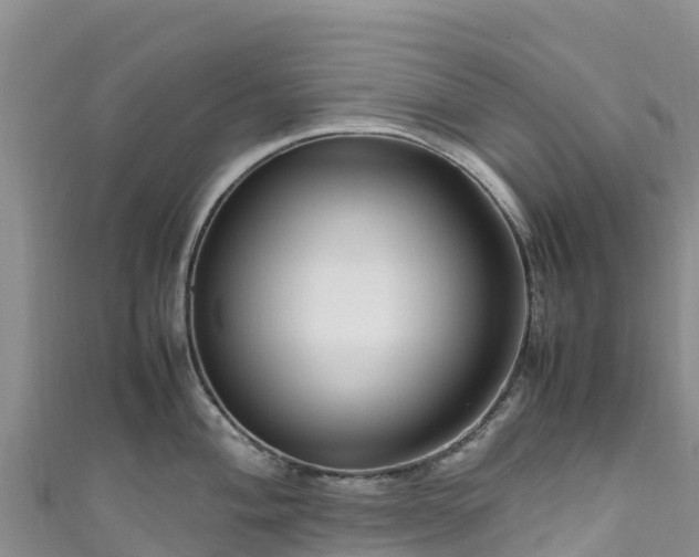 X0000111191004200907081252