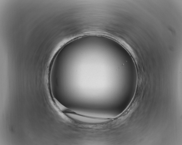 X0000111191005200907081252