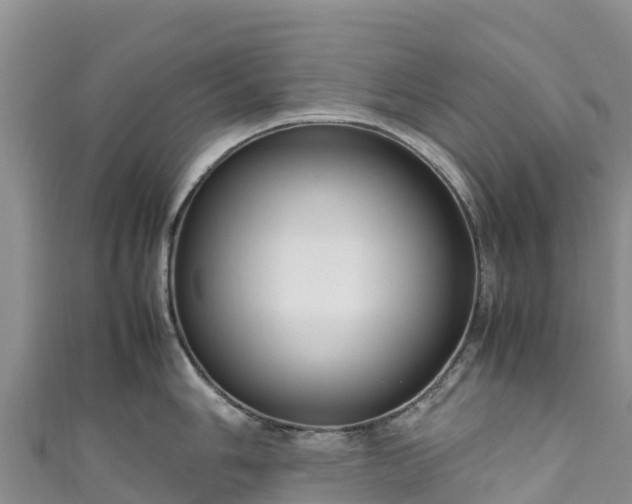 X0000111191006200907081252