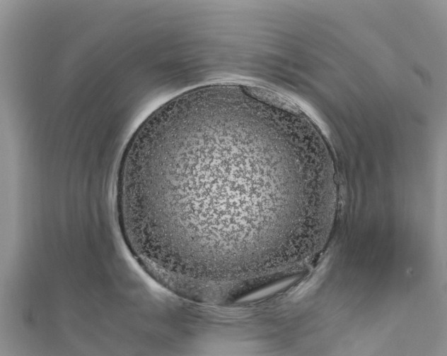 X0000111191007200907081252