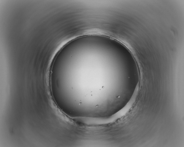 X0000111191008200907081252