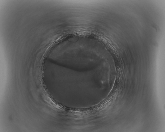 X0000111191009200907081252