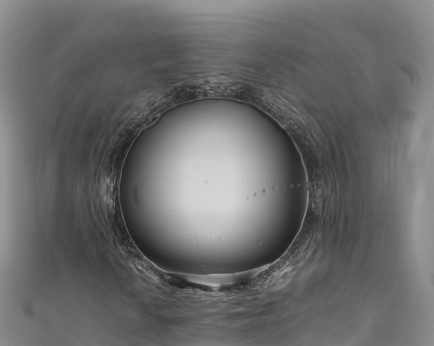 X0000111191010200907081252