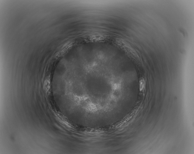 X0000111191011200907081252