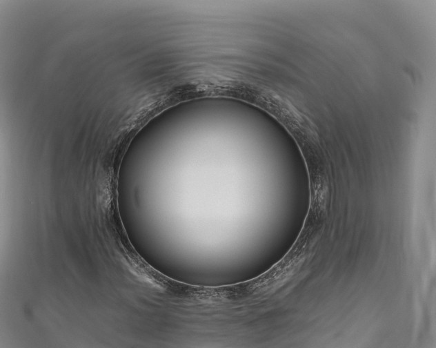 X0000111191012200907081252