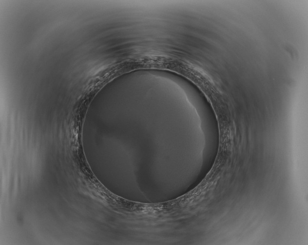 X0000111191013200907081252