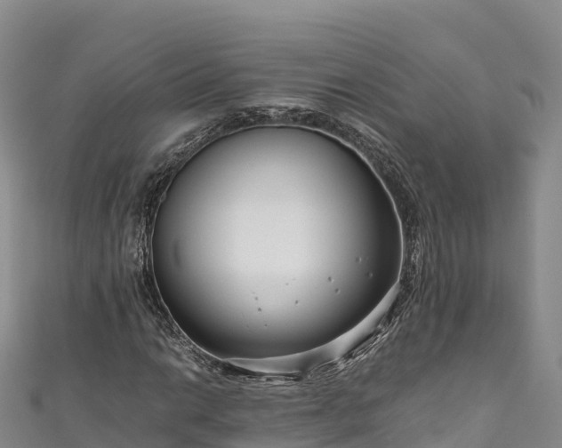 X0000111191014200907081252