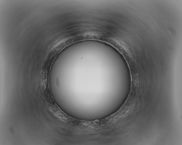 X0000111191015200907081252