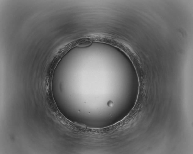 X0000111191016200907081252