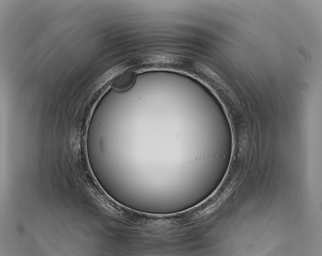 X0000111191017200907081252