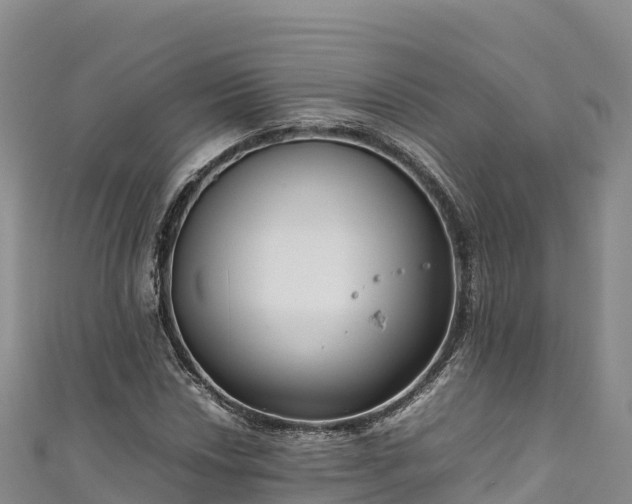 X0000111191018200907081252